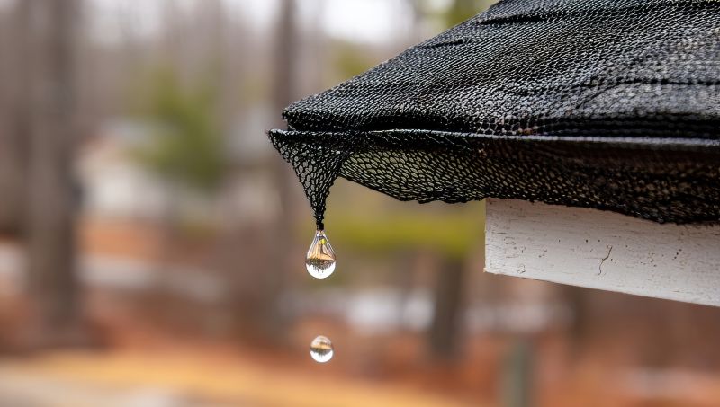 Gutter Mesh Installation in Longmont, CO