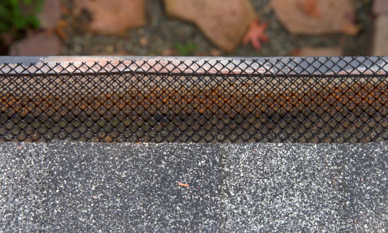 Gutter Mesh Installation in Boulder, CO