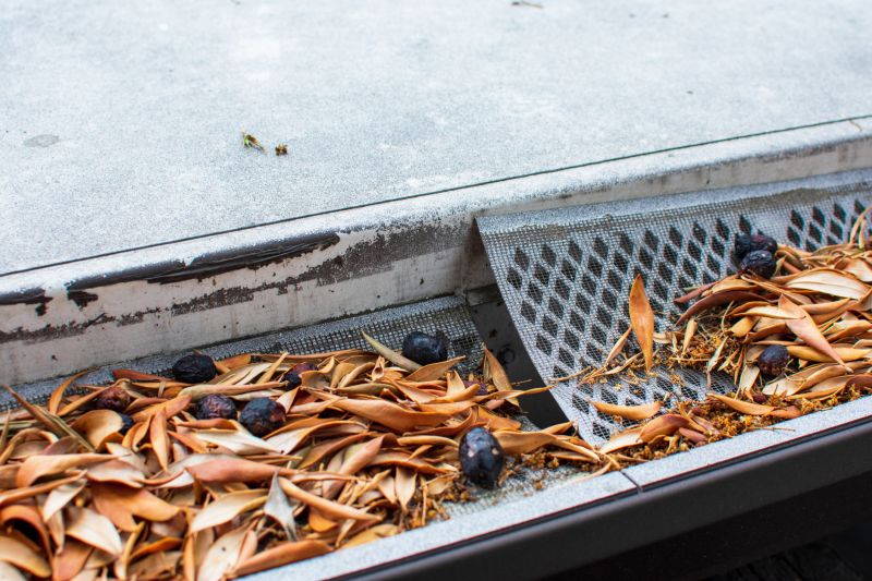 Gutter Mesh Installation in Roseville, CA