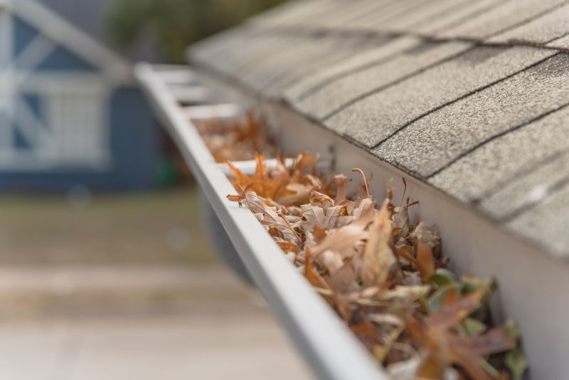 Leaf Barrier Installation in Arvada, CO